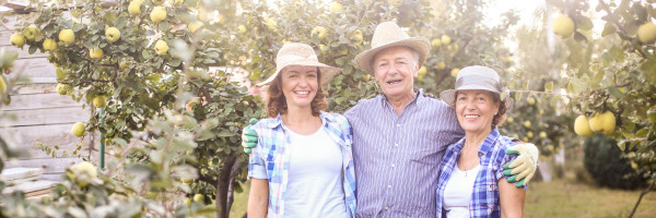 L’entraide familiale : un « coup de main » sans conséquence ?